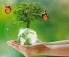 ۱۲ راه برای سبک زندگی پایدار (Sustainable living )
